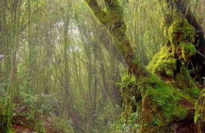 3dc303de-27bc-44ea-8a2a-86da7d3b7869