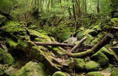 60ea3d53-aefe-4247-a374-3e8f7256f3ea