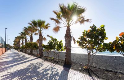 a0acfe58-3364-4ad5-b1b8-f6f45a620b43