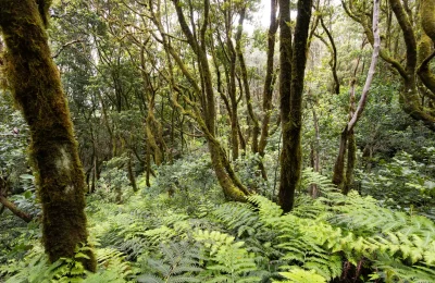 c5c83e49-838f-4a4c-9581-84b43acdbbc2