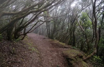 cec6ea5e-84a3-4505-8631-8ff456a35d1e