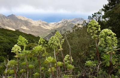 dd2775c0-1390-4199-90b1-78a2ab233125